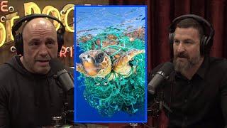 Ocean Pollution | Joe Rogan Experience w/ Andrew Huberman