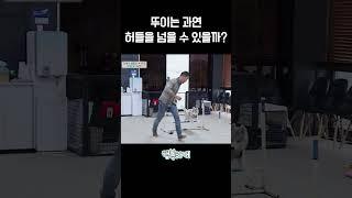 뚜이 어질리티 성공?!