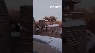 #배금성사랑이비를맞아요#세계문화유산#수원화성#방화수류정#아름다운문화재#여우길트레킹#새벽운동 2025.1.4.토요일