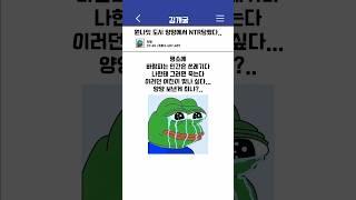 양양에서 한국 여자들이 하는 것