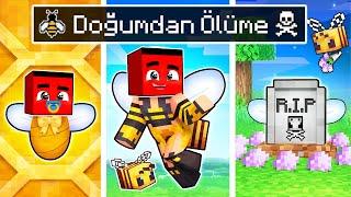 DOĞUMDAN ÖLÜME TATLI ARI !! - Minecraft