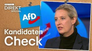 AfD schlecht für die Wirtschaft? Alice Weidel im Kandidatencheck | RTL Direkt Spezial