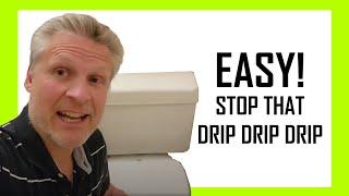 Easy Fix For Dripping Sound in Toilet Tank