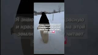 Меня так долго не было #аллах #истина #ислам#нашид#эстетика