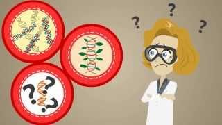abm - PCR Products Highlight