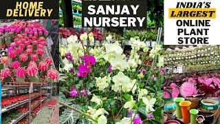 INDIA's Largest Online PLANT Nursery  | Sanjay Nursery PUNE