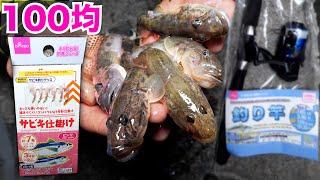 100均の釣具だけでどれだけ釣れるかやってみた【ENG SUB】