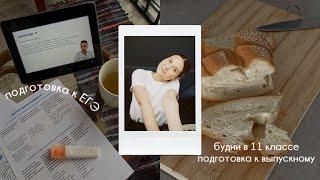 будни в 11 классе, подготовка к егэ, онлайн-школы|study with me|vlog 30