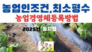 2025년 농업인조건 토지 최소평수,농업인혜택 농업경영체등록방법 등