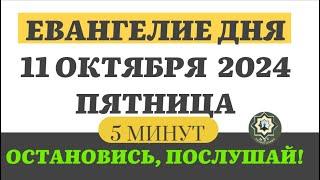 11 ОКТЯБРЯ ПЯТНИЦА ЕВАНГЕЛИЕ ДНЯ 5 МИНУТ АПОСТОЛ МОЛИТВЫ 2024 #мирправославия