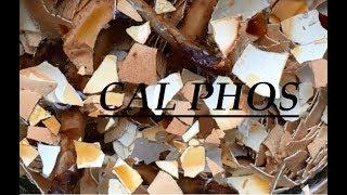 CalPhos - Calcium Phosphate Solution - Eggshells & Chicken Bones - Surfing Llama