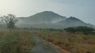 Empty Forest road in Anaikatti | Attapadi | Thedal 360°