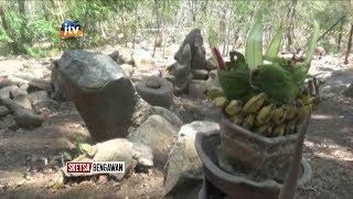 NGANJUK - Warga Temukan Batu Berbentuk Ular Raksasa