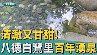 泉 水|八德白鷺里 居民細心守護百年湧泉