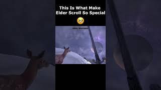 This Is What Make Elder Scroll So Special  #skyrim #oblivionremake #elderscrolls #shorts