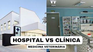 HOSPITAL VETERINÁRIO vs CLÍNICA VETERINÁRIA, quais as diferenças?!