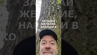 #талисман