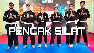 PENCAK SILAT THROW TECHNIQUES