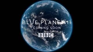 Blue Planet II  Official Trailer