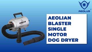 Aeolian The Most Affordable and Efficient Dog Grooming Dryer by AEOLUS