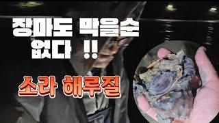 [고독한허당] 초보도 물때만 잘 맞으면 소라 150개 아니면 당일 먹을거라도 가능 (feat. 소라불닭짜장면)