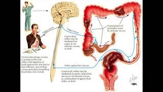 Constipation and the Colon - Mayo Clinic