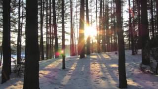 University of Michigan School of Music, Theatre & Dance Holiday Greetings 2013