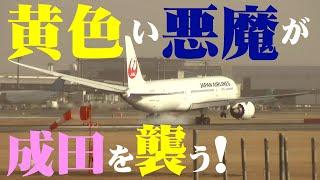 【成田空港】まだ冬なのに成田を襲う苛烈な横風とウインドシア！危険な着陸環境の中でゴーアラウンドも続出した成田の一日を追った！