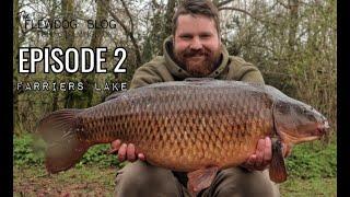 ++ THE FLEWDOG BLOG ++ EPISODE 2   FARRIERS LAKE 1