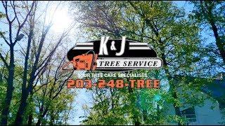 Homeowner Tree Maintenance, K&J Tree Service