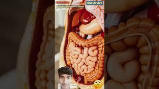 Digestive Inestem system foods that #pregnant #anatomy  akash Kumar subscribe share comment please 