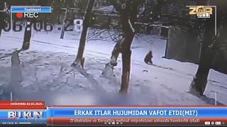 Erkak itlar hujumidan vafot etdi(mi?) (Toshkent)