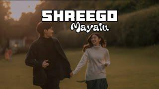 Mayalu - Shreego [ Official Music Lyrics Video ]