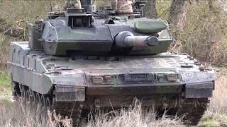 Leopard 2 A7V vom PzBtl 393 an der Elbe- Wettiner Schwert 2024