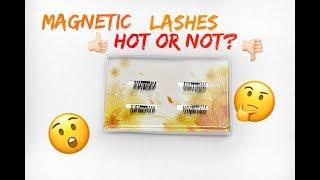 Magnetic False Lashes | Review & Demo | Hot or Not? | Ingrida G