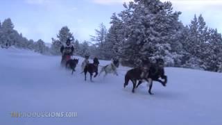 MUNTANYES DE NEU: Copa Gos Àrtic a Port Ainé