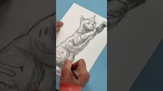 Petit  au croquis #tuto #tutodessin #dessin #drawing #drawingcat #cat #catvideos #clairefontaine