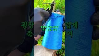 악몽을 꾸게 된 히틀러