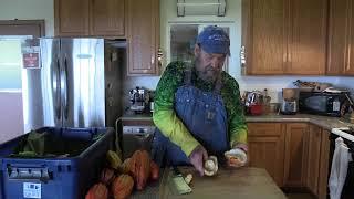 Cacao Harvest and Fermentation