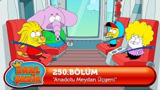 Kral Şakir 250. Bölüm - Anadolu Meydan Üçgeni