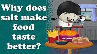 Why does salt make food taste better? + more videos | #aumsum #kids #education #whatif