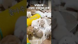 칼군무 쩌럿다,,,