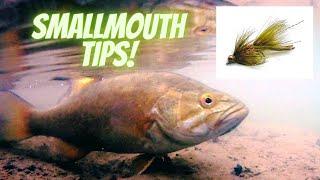 Smallmouth Bass Fly Fishing Tips On The Mad River, Ohio