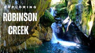 Nature’s Perfect Escape  Crystal Blue Waters of New Zealand 