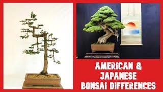 How Do Bonsai Styles Differ in the US and Within Japan? Julian Tsai Explains - Bonsai Time 01