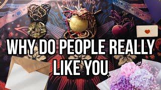 Why do people really like you tarot timeless pick a card reading.