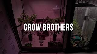 Выставка СитиФермер 2021 | Grow Brothers | Трейлер