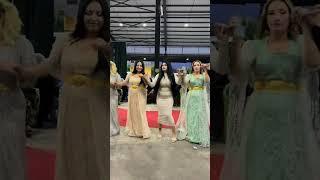 Kurdish Dance Kurdish Culture Kurdish Folklore #shorts #shortvideo #youtubeshorts #trending