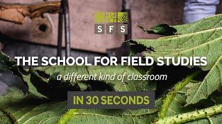 SFS Study Abroad in 30 Seconds