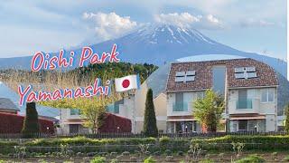 Going to Fujikawaguchiko Oishi Park || Yamanashi, Japan #yamanashi #japan #japantravel